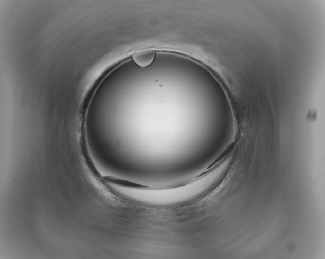 X0000090971511200708091425