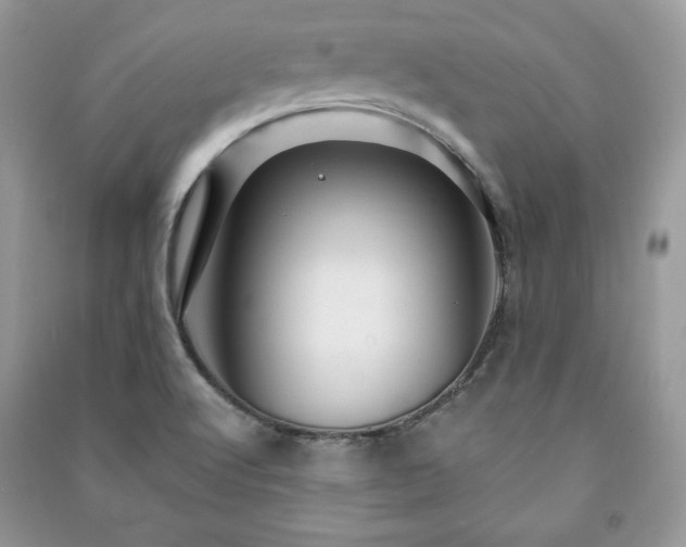 X0000090971512200708091425