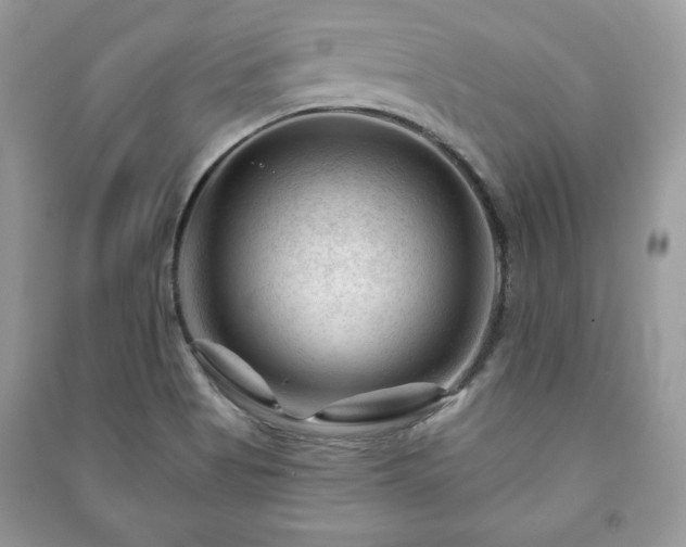 X0000090971513200708091425