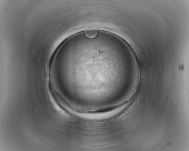 X0000090971515200708091425