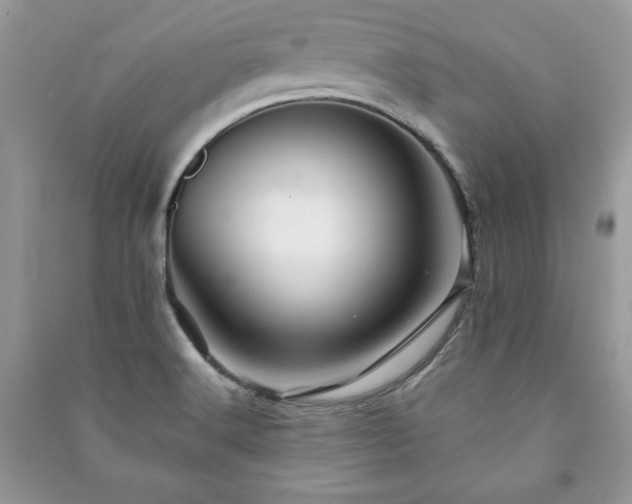 X0000090971516200708091425