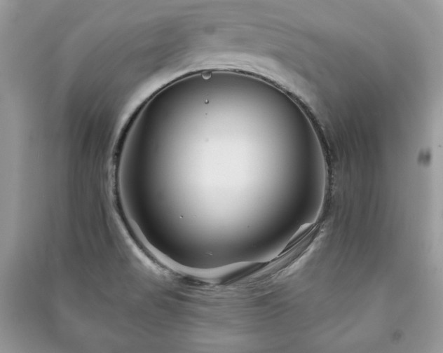 X0000090971517200708091425