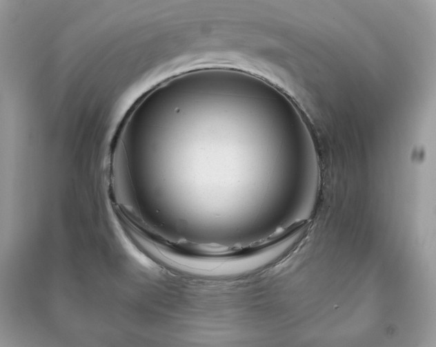 X0000090971519200708091425