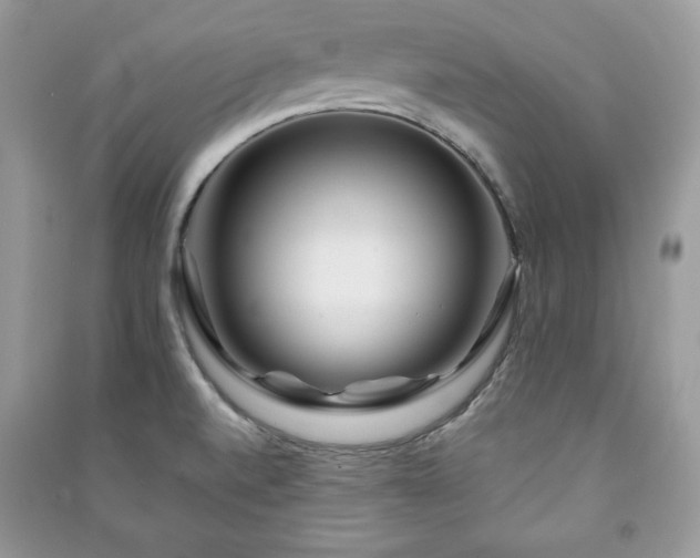 X0000090971520200708091425