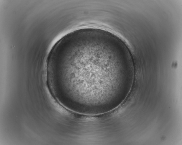 X0000090971522200708091425