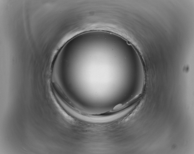 X0000090971525200708091425