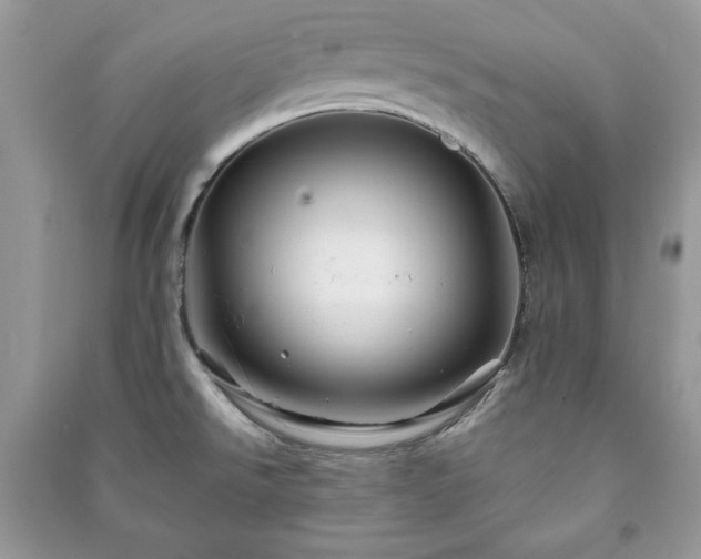 X0000090971526200708091425