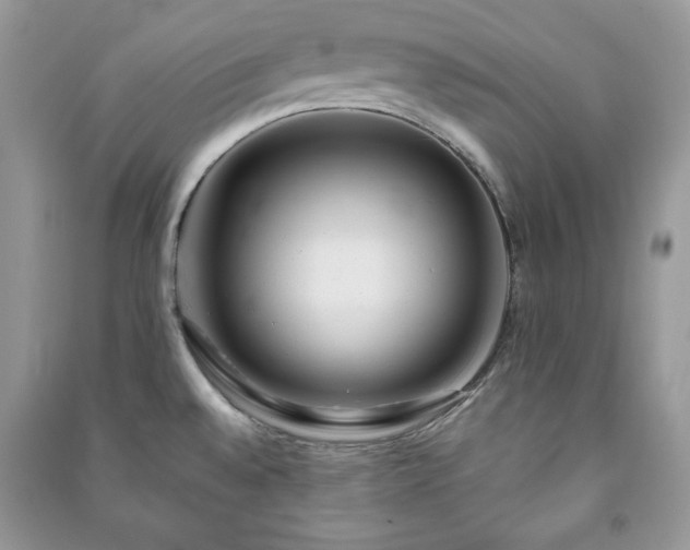 X0000090971528200708091425