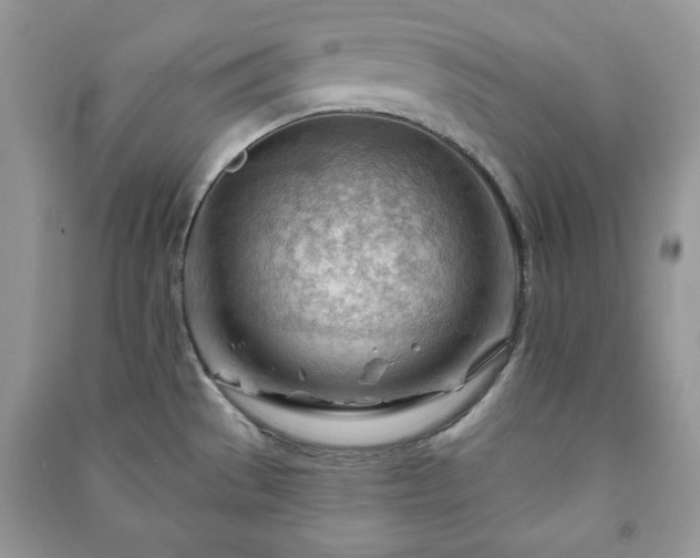 X0000090971529200708091425