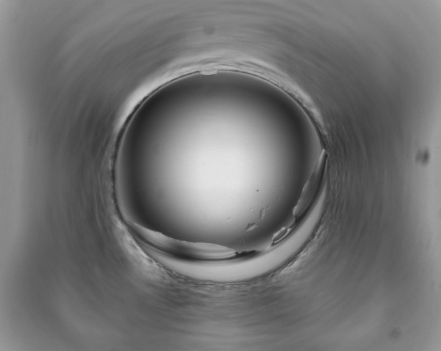 X0000090971530200708091425