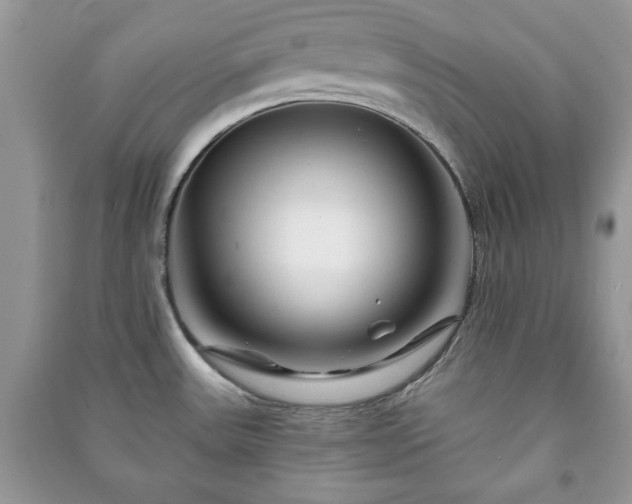 X0000090971531200708091425