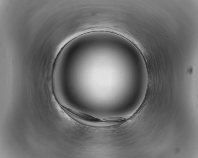 X0000090971534200708091425