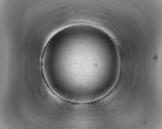 X0000090971535200708091425