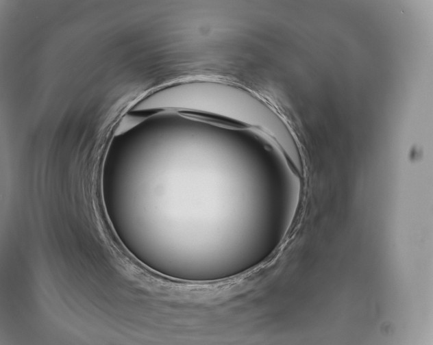 X0000090970001200708161845