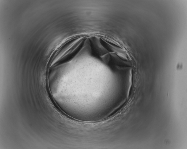 X0000090970002200708161845