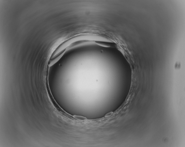 X0000090970003200708161845