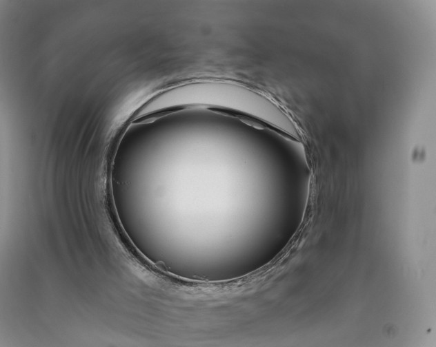 X0000090970005200708161845