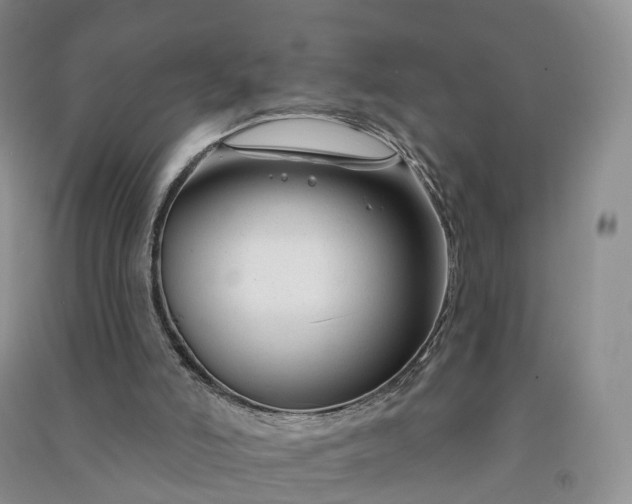 X0000090970006200708161845