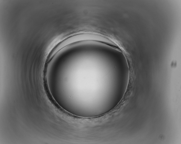 X0000090970007200708161845