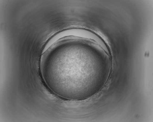 X0000090970009200708161845