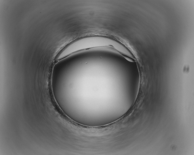 X0000090970010200708161845