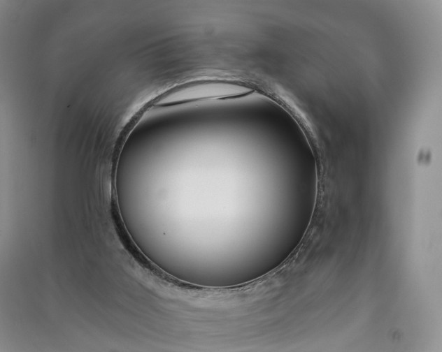 X0000090970011200708161845