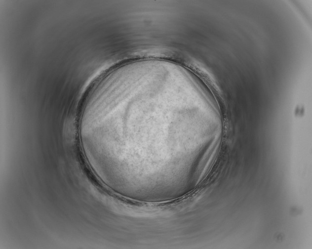 X0000090970012200708161845