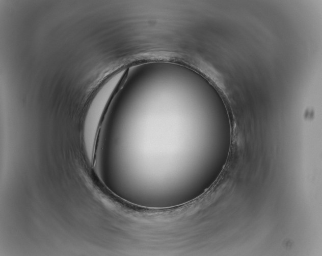 X0000090970013200708161845