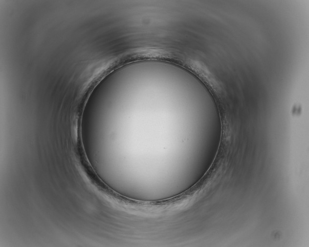 X0000090970014200708161845