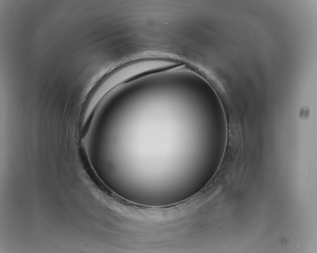 X0000090970015200708161845