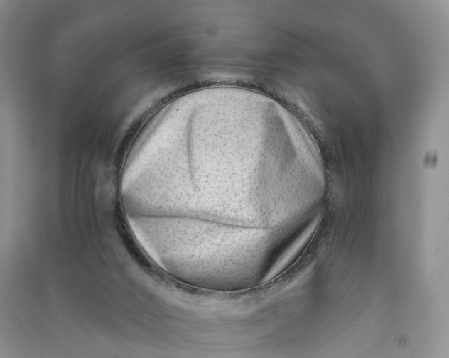 X0000090970016200708161845