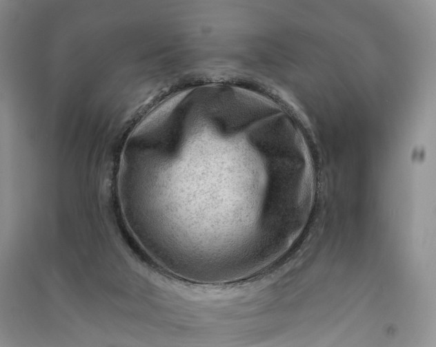 X0000090970018200708161845