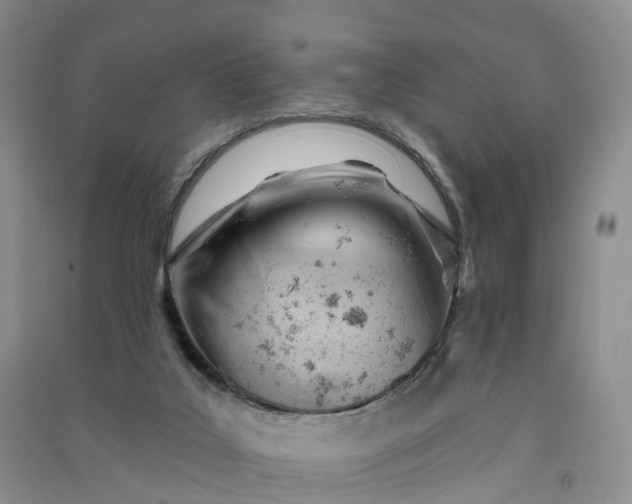 X0000090970019200708161845