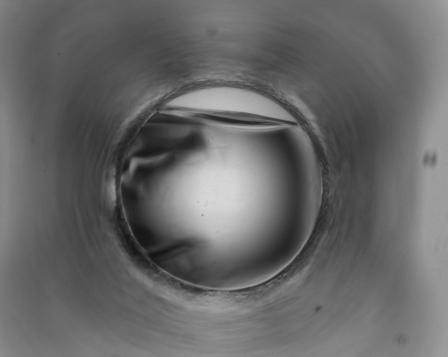 X0000090970020200708161845