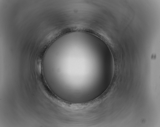 X0000090970022200708161845