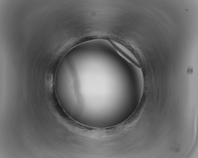 X0000090970024200708161845