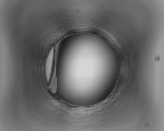 X0000090970025200708161845