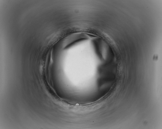 X0000090970026200708161845