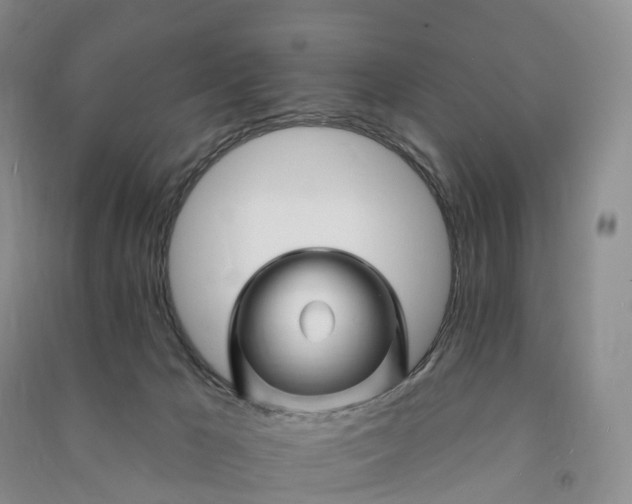 X0000090970029200708161845