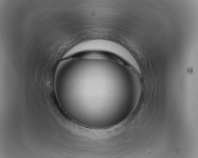 X0000090970031200708161845