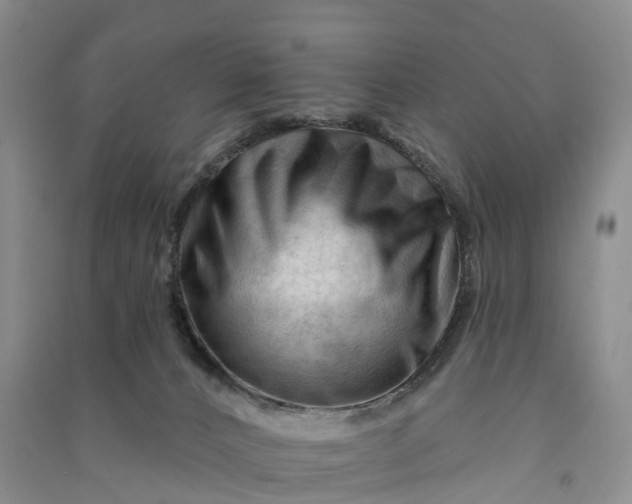 X0000090970032200708161845