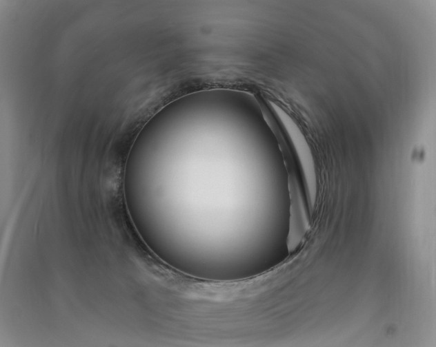 X0000090970033200708161845