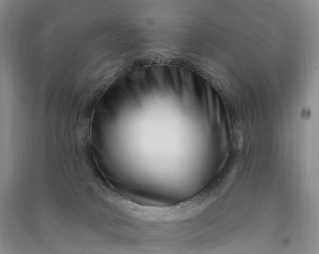 X0000090970034200708161845