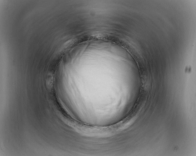 X0000090970036200708161845