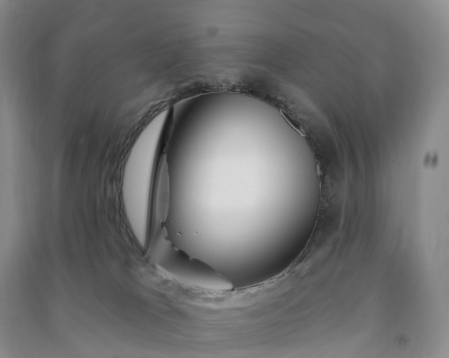 X0000090970037200708161845