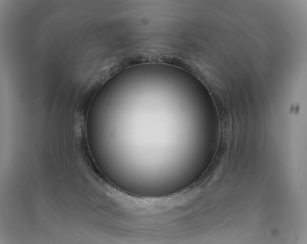 X0000090970038200708161844