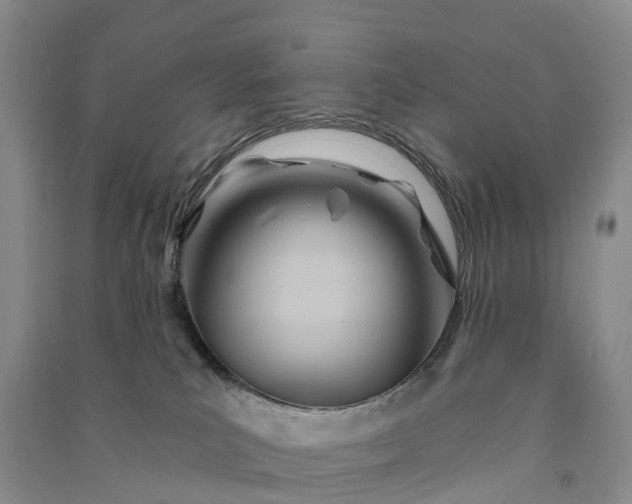 X0000090970039200708161844