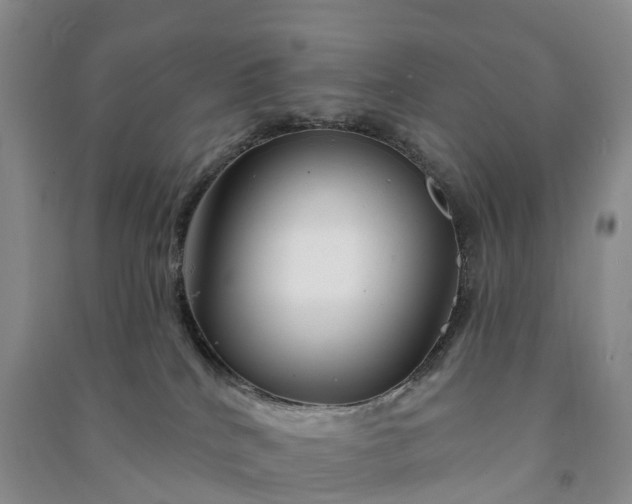 X0000090970040200708161844