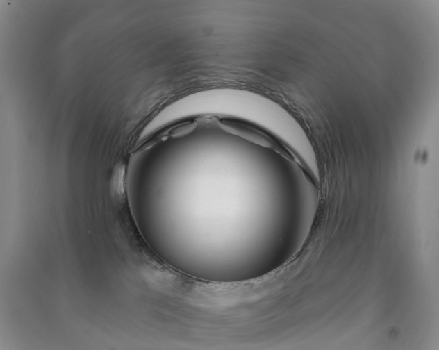 X0000090970041200708161844