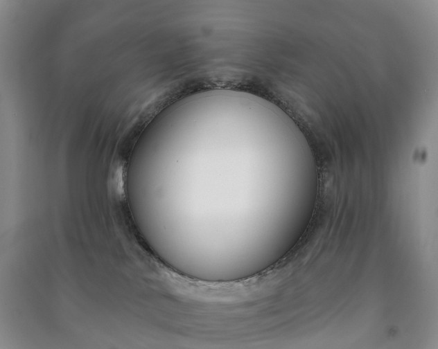 X0000090970042200708161844